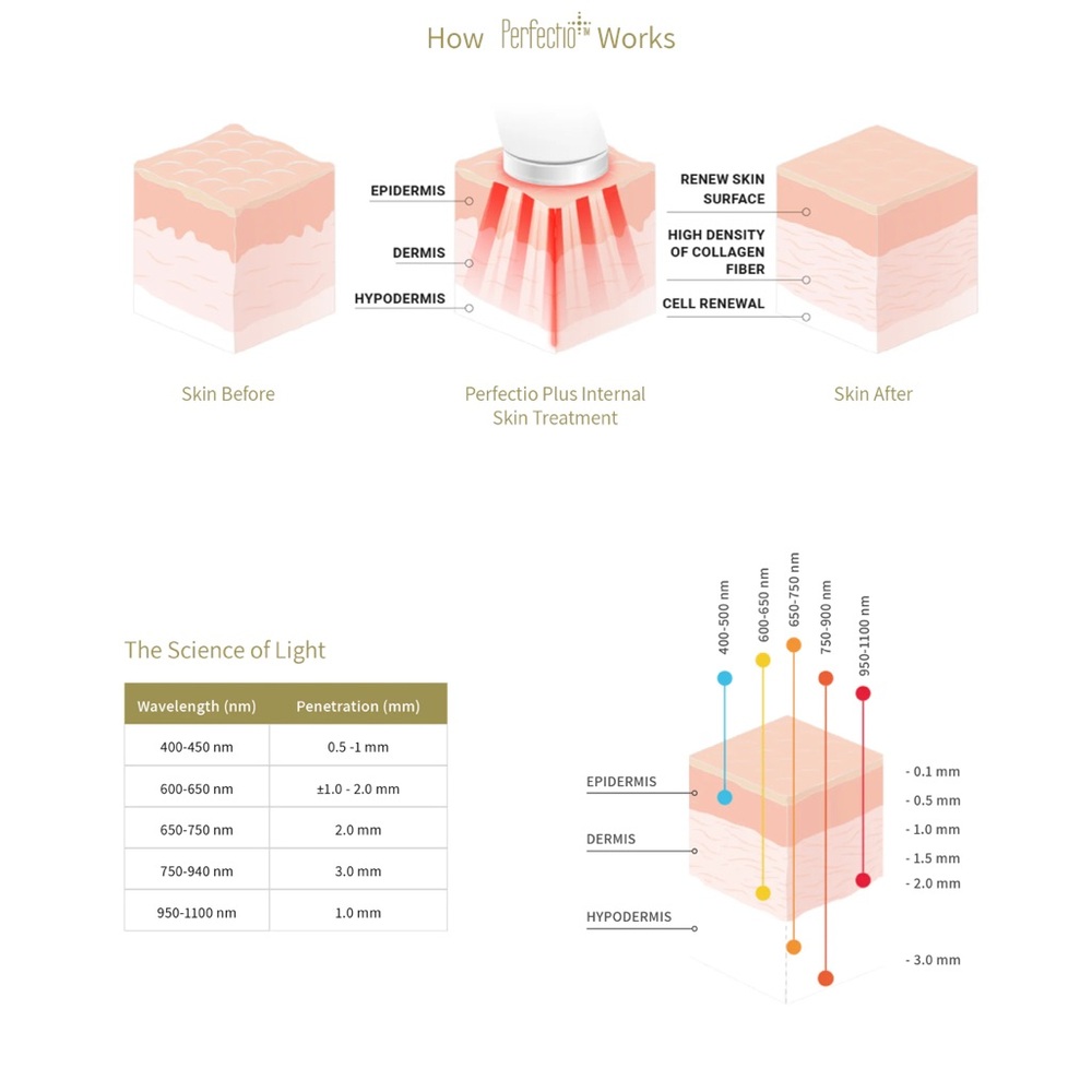 Perfection Gold Skincare Tool - Picture 6 of 6